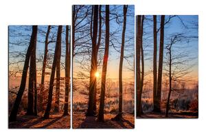 Obraz na plátně - Podzimní ráno v lese 1251D (90x60 cm)