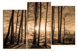 Obraz na plátně - Podzimní ráno v lese 1251FD (150x100 cm)