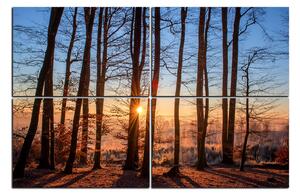 Obraz na plátně - Podzimní ráno v lese 1251E (120x80 cm)