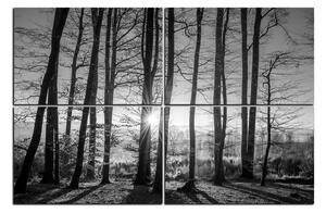 Obraz na plátně - Podzimní ráno v lese 1251QE (90x60 cm)