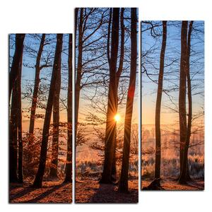 Obraz na plátně - Podzimní ráno v lese - čtverec 3251C (75x75 cm)