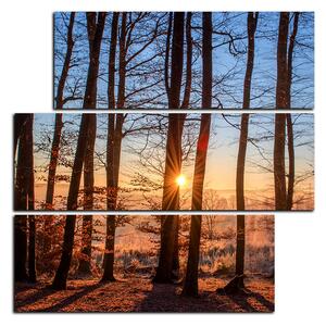 Obraz na plátně - Podzimní ráno v lese - čtverec 3251D (75x75 cm)