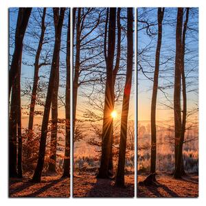 Obraz na plátně - Podzimní ráno v lese - čtverec 3251B (75x75 cm)