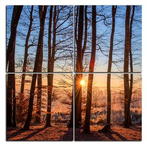 Obraz na plátně - Podzimní ráno v lese - čtverec 3251E (60x60 cm)