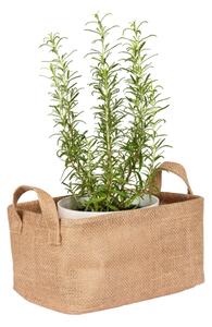 WENKO 64471100 - Koš JUNA 24x17 cm hnědá