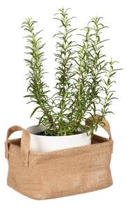 WENKO 64470100 - Koš JUNA 20x15 cm hnědá