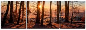 Obraz na plátně - Podzimní ráno v lese - panoráma 5251C (150x50 cm)