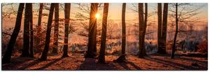 Obraz na plátně - Podzimní ráno v lese - panoráma 5251A (105x35 cm)