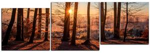 Obraz na plátně - Podzimní ráno v lese - panoráma 5251E (150x50 cm)