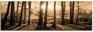 Obraz na plátně - Podzimní ráno v lese - panoráma 5251FA (105x35 cm)
