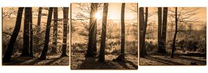 Obraz na plátně - Podzimní ráno v lese - panoráma 5251FD (90x30 cm)