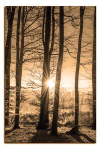 Obraz na plátně - Podzimní ráno v lese - obdélník 7251FA (120x80 cm)
