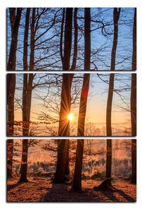 Obraz na plátně - Podzimní ráno v lese - obdélník 7251B (120x80 cm)