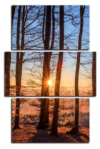 Obraz na plátně - Podzimní ráno v lese - obdélník 7251C (90x60 cm)