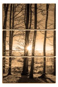 Obraz na plátně - Podzimní ráno v lese - obdélník 7251FB (120x80 cm)