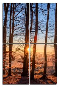 Obraz na plátně - Podzimní ráno v lese - obdélník 7251E (120x80 cm)