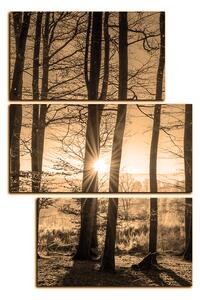 Obraz na plátně - Podzimní ráno v lese - obdélník 7251FD (90x60 cm)