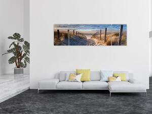 Obraz - Cesta k pláži Severního moře, Nizozemsko (170x50 cm)