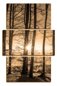 Obraz na plátně - Podzimní ráno v lese - obdélník 7251FC (120x80 cm)
