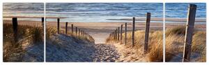 Obraz - Cesta k pláži Severního moře, Nizozemsko (170x50 cm)