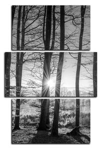 Obraz na plátně - Podzimní ráno v lese - obdélník 7251QC (120x80 cm)