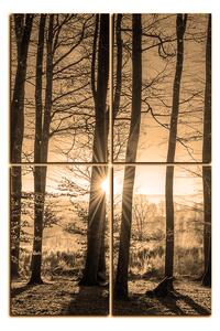 Obraz na plátně - Podzimní ráno v lese - obdélník 7251FE (90x60 cm)