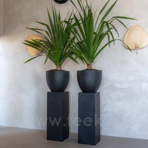 Pottery Pots Venkovní květináč kulatý Jesslyn XS, Black (barva černá), kolekce Natural, kompozit Fiberstone, průměr 42 cm x v 36 cm, objem cca 0 l