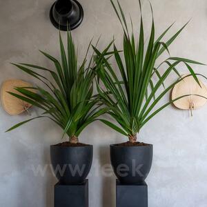 Pottery Pots Venkovní květináč kulatý Jesslyn XS, Black (barva černá), kolekce Natural, kompozit Fiberstone, průměr 42 cm x v 36 cm, objem cca 0 l