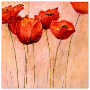 Obraz - Červené tulipány (30x30 cm)