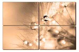 Obraz na plátně - Dandelion z kapkami rosy 1262FE (90x60 cm)