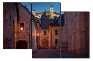 Obraz na plátně - Bratislava staré město s hradem vzadu 1265D (120x80 cm)
