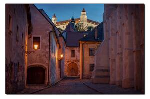 Obraz na plátně - Bratislava staré město s hradem vzadu 1265A (100x70 cm)