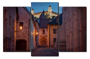 Obraz na plátně - Bratislava staré město s hradem vzadu 1265C (90x60 cm)