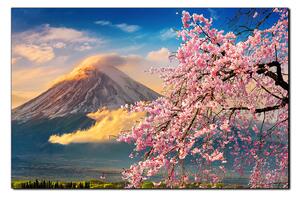 Obraz na plátně - Hora Fuji a třešňové květiny na jaře 1266A (100x70 cm)