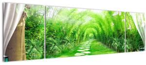 Obraz - Výhled na tropickou zahradu (170x50 cm)