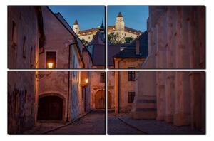 Obraz na plátně - Bratislava staré město s hradem vzadu 1265E (90x60 cm)
