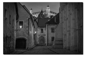 Obraz na plátně - Bratislava staré město s hradem vzadu 1265QA (60x40 cm)