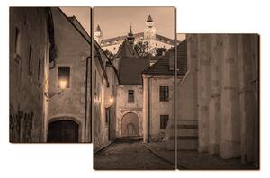 Obraz na plátně - Bratislava staré město s hradem vzadu 1265FD (105x70 cm)