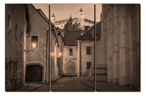 Obraz na plátně - Bratislava staré město s hradem vzadu 1265FB (150x100 cm)