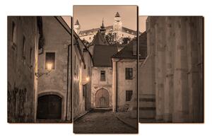 Obraz na plátně - Bratislava staré město s hradem vzadu 1265FC (120x80 cm)
