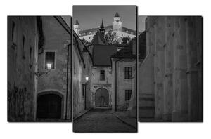 Obraz na plátně - Bratislava staré město s hradem vzadu 1265QC (90x60 cm)