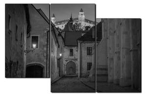 Obraz na plátně - Bratislava staré město s hradem vzadu 1265QD (150x100 cm)