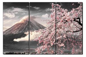 Obraz na plátně - Hora Fuji a třešňové květiny na jaře 1266QB (90x60 cm )