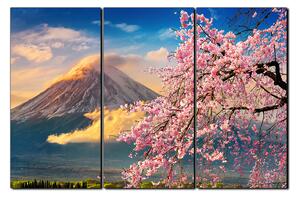 Obraz na plátně - Hora Fuji a třešňové květiny na jaře 1266B (150x100 cm)