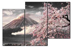 Obraz na plátně - Hora Fuji a třešňové květiny na jaře 1266QD (150x100 cm)