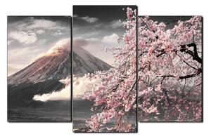 Obraz na plátně - Hora Fuji a třešňové květiny na jaře 1266QC (90x60 cm)