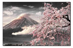 Obraz na plátně - Hora Fuji a třešňové květiny na jaře 1266QA (100x70 cm)