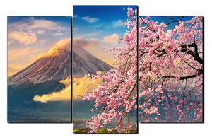Obraz na plátně - Hora Fuji a třešňové květiny na jaře 1266C (90x60 cm)