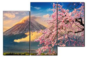 Obraz na plátně - Hora Fuji a třešňové květiny na jaře 1266D (120x80 cm)
