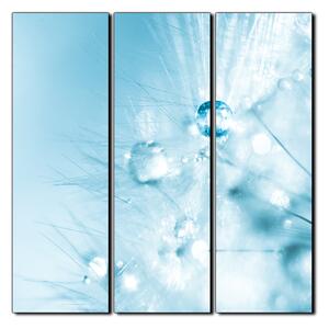 Obraz na plátně - Dandelion z kapkami rosy- čtverec 3262B (105x105 cm)